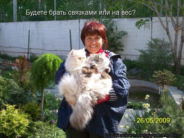 Будете брать связками или на вес?... Котоматрица: Будете брать связками или на вес?