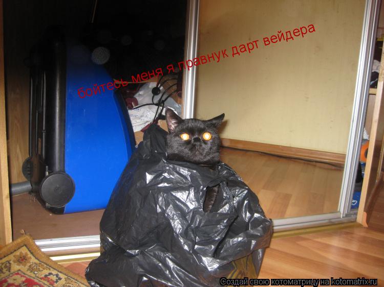 бойтесь меня я правнук дарт вейдера... Котоматрица: бойтесь меня я правнук дарт вейдера