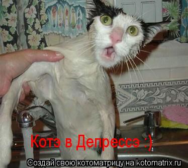 Котэ в Депрессэ :)... Котоматрица: Котэ в Депрессэ :)