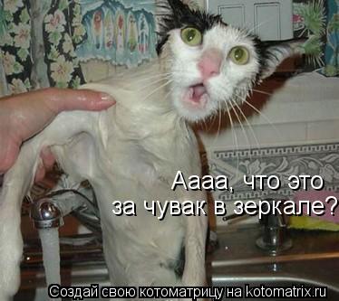 Аааа, что это за чувак в зеркале? :О... Котоматрица: Аааа, что это за чувак в зеркале? :О