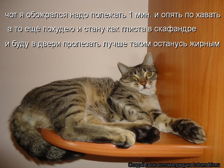 чот я обожрался надо полежать 1 мин. и опять по хавать а то ещё похудею и стану как глиста в скафанд... Котоматрица: чот я обожрался надо полежать 1 мин. и опять по хавать а то ещё похудею и стану как глиста в скафандре и буду в двери пролезать лучше таким ос
