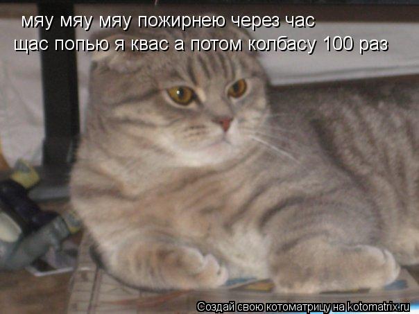 мяу мяу мяу пожирн ею через час щас попью я квас а потом колбасу 100 раз... Котоматрица: мяу мяу мяу пожирн ею через час щас попью я квас а потом колбасу 100 раз