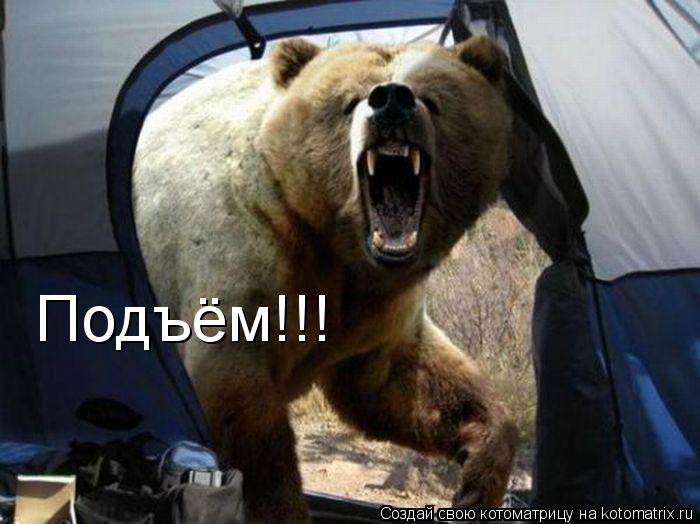 Подъём!!!... Котоматрица: Подъём!!!