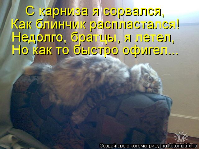 С карниза я сорвался, Как блинчик распластался! Недолго, братцы, я летел, Но как то быстро офигел...... Котоматрица: С карниза я сорвался, Как блинчик распластался! Недолго, братцы, я летел, Но как то быстро офигел...