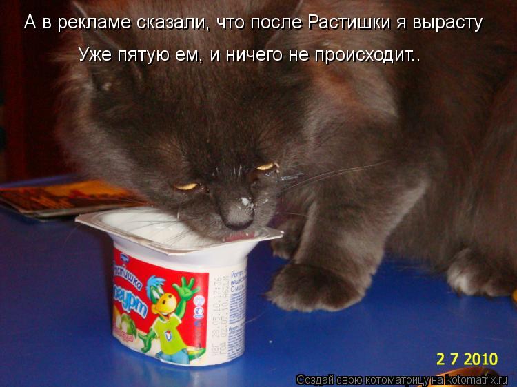 А в рекламе сказали, что после Растишки я вырасту Уже пятую ем, и ничего не происходит..... Котоматрица: А в рекламе сказали, что после Растишки я вырасту Уже пятую ем, и ничего не происходит..