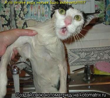 А по теплее воду нельзя было включитЬ!!!!!!!!?... Котоматрица: А по теплее воду нельзя было включитЬ!!!!!!!!?