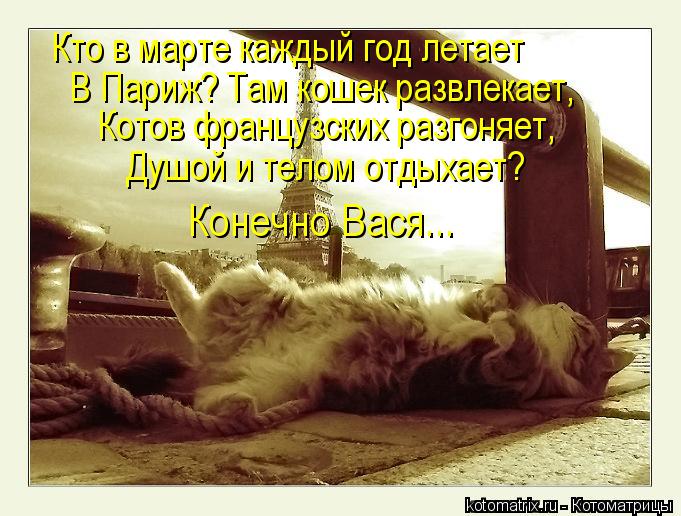 Кто в марте каждый год летает В Париж? Там кошек развлекает, Котов французских разгоняет, Душой и те... Котоматрица: Кто в марте каждый год летает В Париж? Там кошек развлекает, Котов французских разгоняет, Душой и телом отдыхает? Конечно Вася...