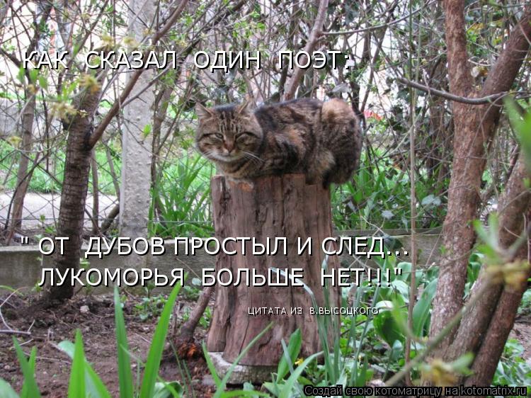КАК СКАЗАЛ ОДИН ПОЭТ: " ОТ ДУБОВ ПРОСТЫЛ И СЛЕД... ЛУКОМОРЬЯ БОЛЬШЕ НЕТ!!!" ЦИТАТА ИЗ В.ВЫСОЦК... Котоматрица: КАК СКАЗАЛ ОДИН ПОЭТ: " ОТ ДУБОВ ПРОСТЫЛ И СЛЕД... ЛУКОМОРЬЯ БОЛЬШЕ НЕТ!!!" ЦИТАТА ИЗ В.ВЫСОЦКОГО