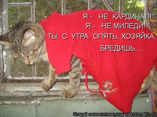 Я - НЕ МИЛЕДИ! Я - НЕ КАРДИНАЛ! БРЕДИШЬ.... ТЫ С УТРА ОПЯТЬ, ХОЗЯЙКА,... Котоматрица: Я - НЕ МИЛЕДИ! Я - НЕ КАРДИНАЛ! БРЕДИШЬ.... ТЫ С УТРА ОПЯТЬ, ХОЗЯЙКА,