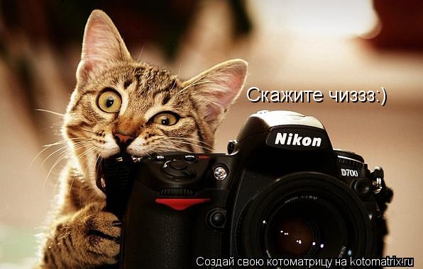 Скажите чиззз:)... Котоматрица: Скажите чиззз:)