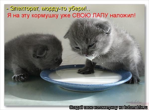 Я на эту кормушку уже СВОЮ ЛАПУ наложил! - Электорат, морду-то убери!..... Котоматрица: Я на эту кормушку уже СВОЮ ЛАПУ наложил! - Электорат, морду-то убери!..