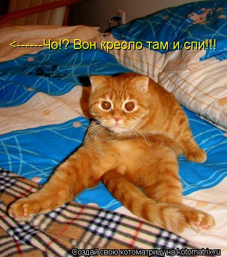 <------Чо!? Вон кресло там и спи!!!... Котоматрица: <------Чо!? Вон кресло там и спи!!!