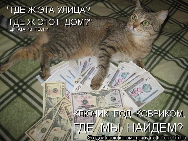 "ГДЕ Ж ЭТА УЛИЦА? ГДЕ Ж ЭТОТ ДОМ?" КЛЮЧИК ПОД КОВРИКОМ, ГДЕ МЫ НАЙДЕМ? ЦИТАТА ИЗ ПЕСНИ... Котоматрица: "ГДЕ Ж ЭТА УЛИЦА? ГДЕ Ж ЭТОТ ДОМ?" КЛЮЧИК ПОД КОВРИКОМ, ГДЕ МЫ НАЙДЕМ? ЦИТАТА ИЗ ПЕСНИ