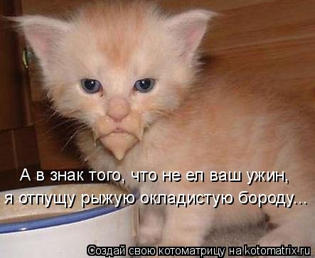А в знак того, что не ел ваш ужин, я отпущу рыжую окладистую бороду...... Котоматрица: А в знак того, что не ел ваш ужин, я отпущу рыжую окладистую бороду...