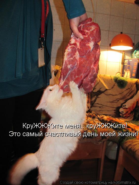 КруЖЖЖите меня...круЖЖЖите! Это самый счастливый день моей жизни!... Котоматрица: КруЖЖЖите меня...круЖЖЖите! Это самый счастливый день моей жизни!