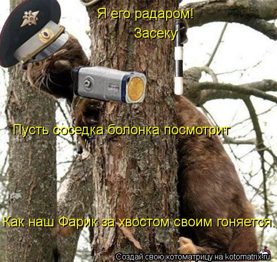 Я его радаром! Засеку Пусть соседка болонка посмотрит Как наш Фарик за хвостом своим гоняется....... Котоматрица: Я его радаром! Засеку Пусть соседка болонка посмотрит Как наш Фарик за хвостом своим гоняется....