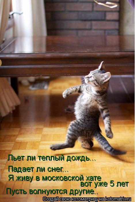 Льет ли теплый дождь... Падает ли снег... Я живу в московской хате вот уже 5 лет Пусть волнуются друг... Котоматрица: Льет ли теплый дождь... Падает ли снег... Я живу в московской хате вот уже 5 лет Пусть волнуются другие..