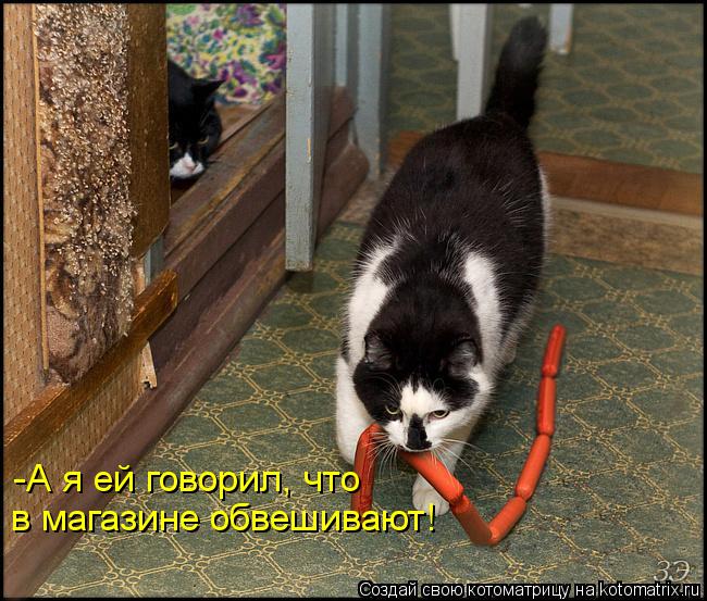 -А я ей говорил, что в магазине обвешивают!... Котоматрица: -А я ей говорил, что в магазине обвешивают!