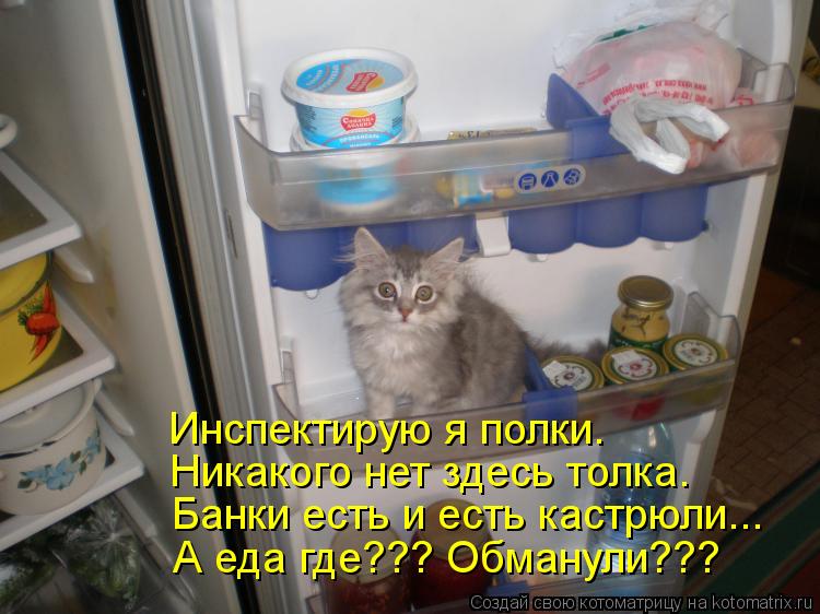 Никакого нет здесь толка. Банки есть и есть кастрюли... А еда где??? Обманули??? Инспектирую я полки.... Котоматрица: Никакого нет здесь толка. Банки есть и есть кастрюли... А еда где??? Обманули??? Инспектирую я полки.