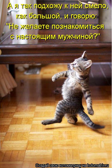 А я так подхожу к ней смело, как большой, и говорю: "Не желаете познакомиться с настоящим мужчиной?"... Котоматрица: А я так подхожу к ней смело, как большой, и говорю: "Не желаете познакомиться с настоящим мужчиной?"