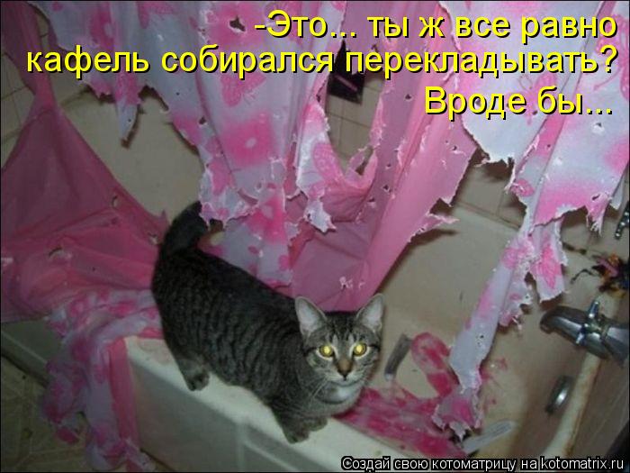 кафель собирался перекладывать? Вроде бы... -Это... ты ж все равно... Котоматрица: кафель собирался перекладывать? Вроде бы... -Это... ты ж все равно