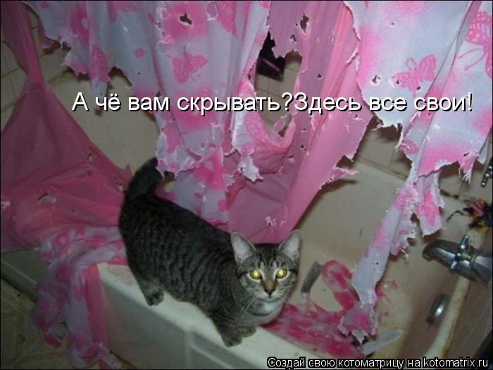 А чё вам скрывать?Здесь все свои!... Котоматрица: А чё вам скрывать?Здесь все свои!