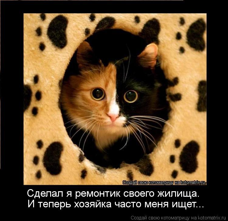 Сделал я ремонтик своего жилища. И теперь хозяйка часто меня ищет...... Котоматрица: Сделал я ремонтик своего жилища. И теперь хозяйка часто меня ищет...