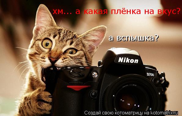хм... а какая плёнка на вкус? а вспышка?... Котоматрица: хм... а какая плёнка на вкус? а вспышка?