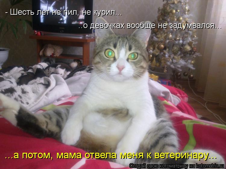 - Шесть лет не пил, не курил... ..о девочках вообще не задумвался... ...а потом, мама отвела меня к в... Котоматрица: - Шесть лет не пил, не курил... ..о девочках вообще не задумвался... ...а потом, мама отвела меня к ветеринару...