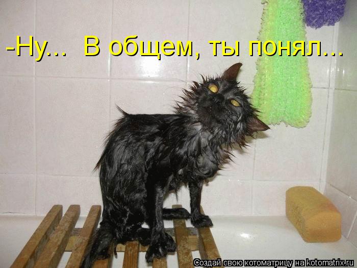 -Ну... В общем, ты понял...... Котоматрица: -Ну... В общем, ты понял...