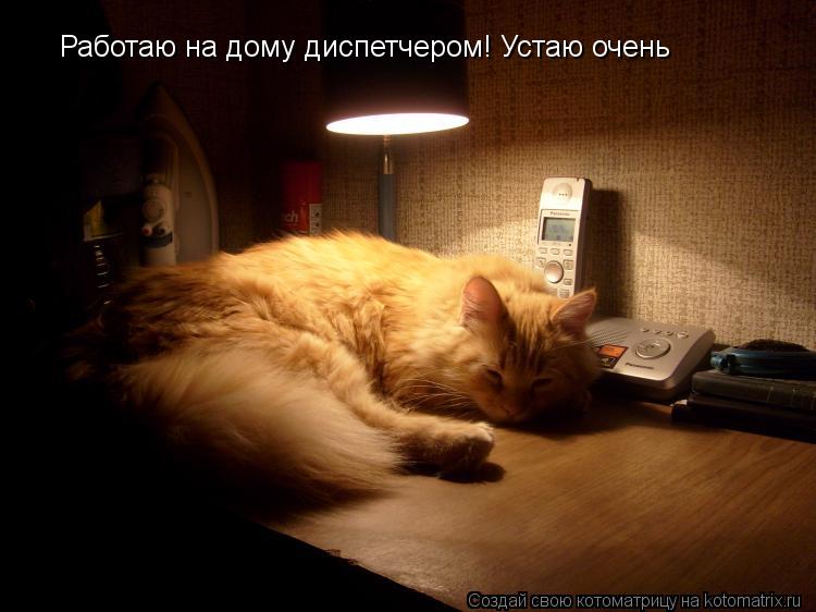 Работаю на дому диспетчером! Устаю очень... Котоматрица: Работаю на дому диспетчером! Устаю очень