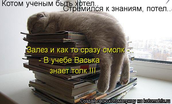 Котом ученым быть хотел.. Стремился к знаниям, потел... Залез и как то сразу смолк -.. - В учебе Вась... Котоматрица: Котом ученым быть хотел.. Стремился к знаниям, потел... Залез и как то сразу смолк -.. - В учебе Васька знает толк !!!