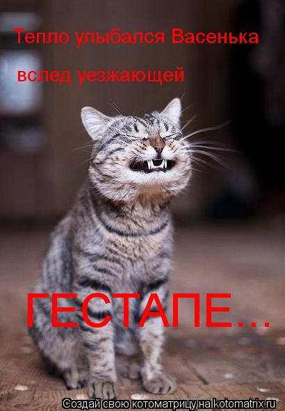 Тепло улыбался Васенька вслед уезжающей ГЕСТАПЕ...... Котоматрица: Тепло улыбался Васенька вслед уезжающей ГЕСТАПЕ...