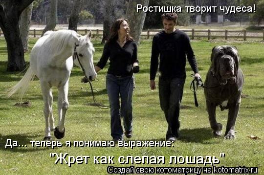 Ростишка творит чудеса! Да... теперь я понимаю выражение: "Жрет как слепая лошадь"... Котоматрица: Ростишка творит чудеса! Да... теперь я понимаю выражение: "Жрет как слепая лошадь"