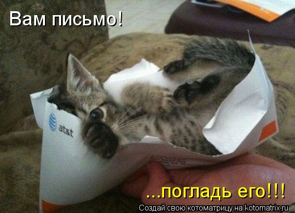 Вам письмо! ...погладь его!!!... Котоматрица: Вам письмо! ...погладь его!!!