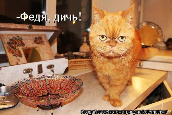 -Федя, дичь!... Котоматрица: -Федя, дичь!