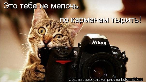Это тебе не мелочь по карманам тырить!... Котоматрица: Это тебе не мелочь по карманам тырить!