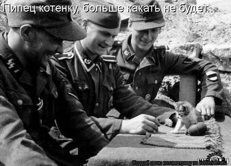 Пипец котенку, больше какать не будет...... Котоматрица: Пипец котенку, больше какать не будет...