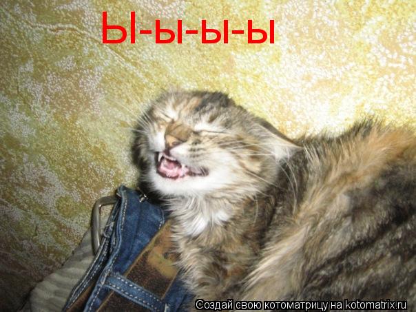 Ы-ы-ы-ы... Котоматрица: Ы-ы-ы-ы