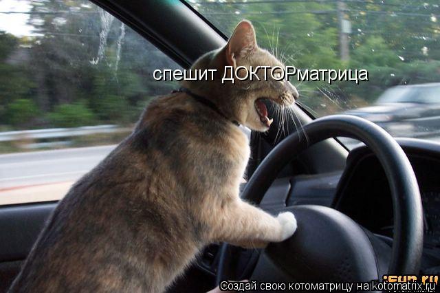 спешит ДОКТОРматрица... Котоматрица: спешит ДОКТОРматрица