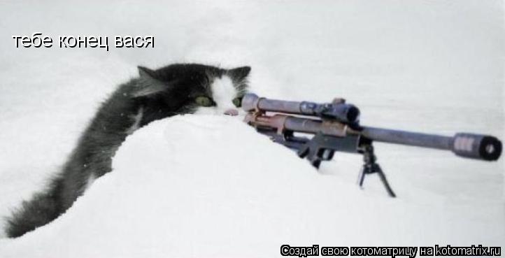 тебе конец вася... Котоматрица: тебе конец вася