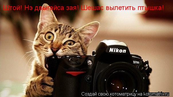 Штой! Нэ двыгайса Галя! Шешас вылетить птышка! Штой! Нэ двыгайса зая! Шешас вылетить птышка!... Котоматрица: Штой! Нэ двыгайса Галя! Шешас вылетить птышка! Штой! Нэ двыгайса зая! Шешас вылетить птышка!