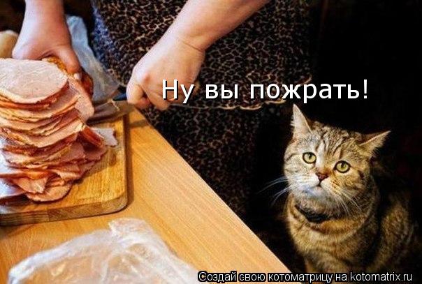Ну вы пожрать!... Котоматрица: Ну вы пожрать!
