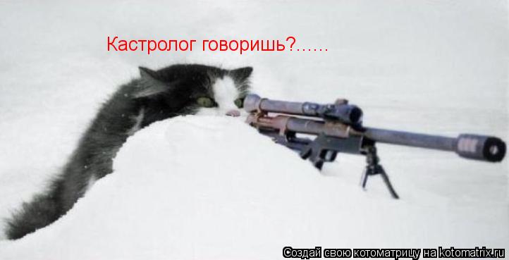 Кастролог говоришь?......... Котоматрица: Кастролог говоришь?......