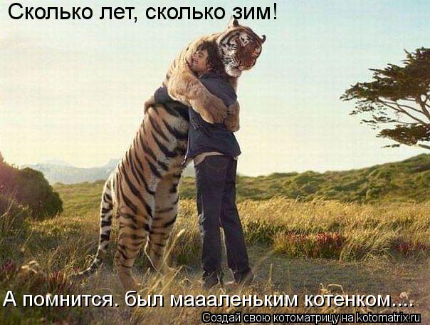 Сколько лет, сколько зим! А помнится. был маааленьким котенком....... Котоматрица: Сколько лет, сколько зим! А помнится. был маааленьким котенком....