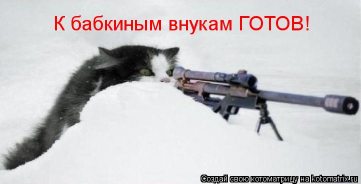 К бабкиным внукам ГОТОВ!... Котоматрица: К бабкиным внукам ГОТОВ!