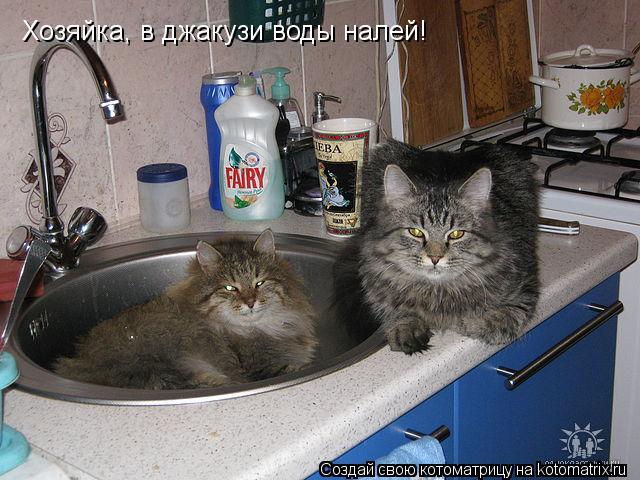 Хозяйка, в джакузи воды налей!... Котоматрица: Хозяйка, в джакузи воды налей!