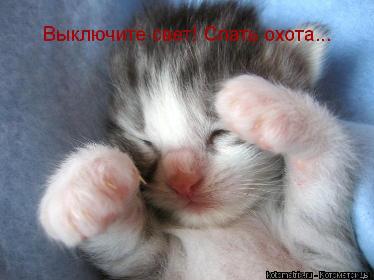 Выключите свет! Выключите свет! Спать охота...... Котоматрица: Выключите свет! Выключите свет! Спать охота...