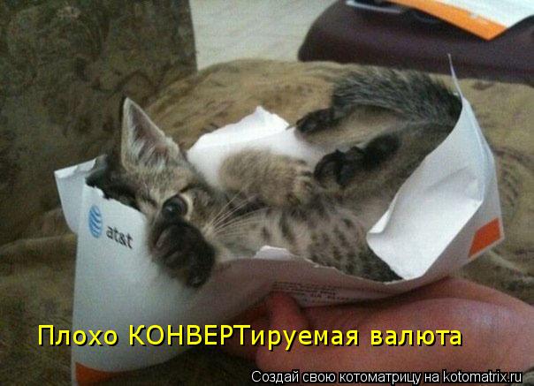 Плохо КОНВЕРТируемая валюта... Котоматрица: Плохо КОНВЕРТируемая валюта