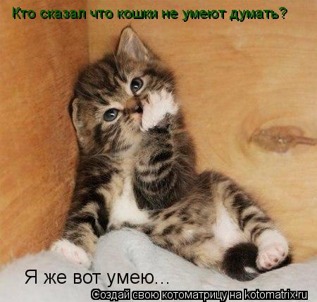 Котоматрица: Кто сказал что кошки не умеют думать? Я же вот умею...